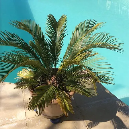 Le Chalet De Luxe * Saint-Severin