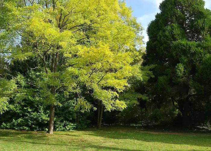 Le Chalet De Luxe * Saint-Séverin