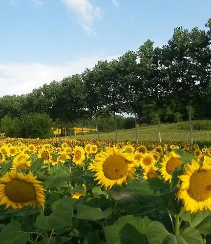 Le Chalet De Luxe Saint-Séverin