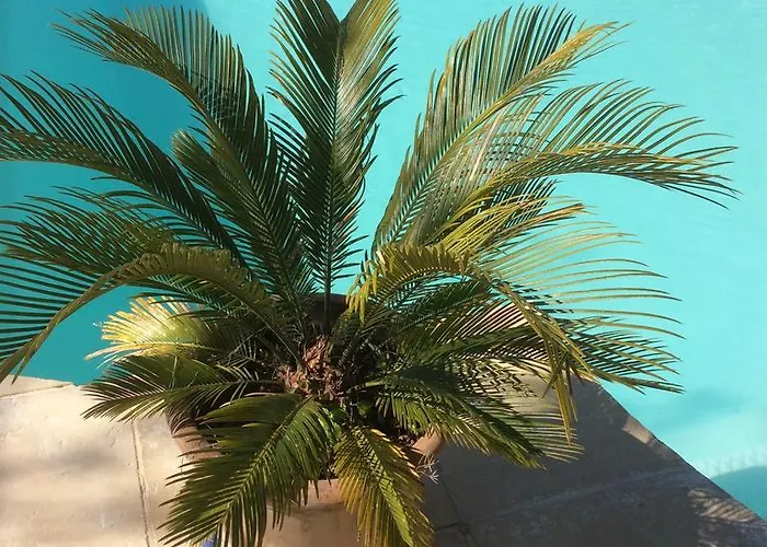 Le Chalet De Luxe * Saint-Séverin